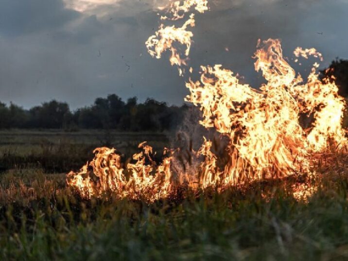 Дубненцам рассказали, как избежать пожара в своих домах в весеннее время новости Дубны 