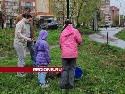 Супруги Волковы с двумя дочерьми посадили молодые дубы в сквере 40-летия Победы новости Дубны 